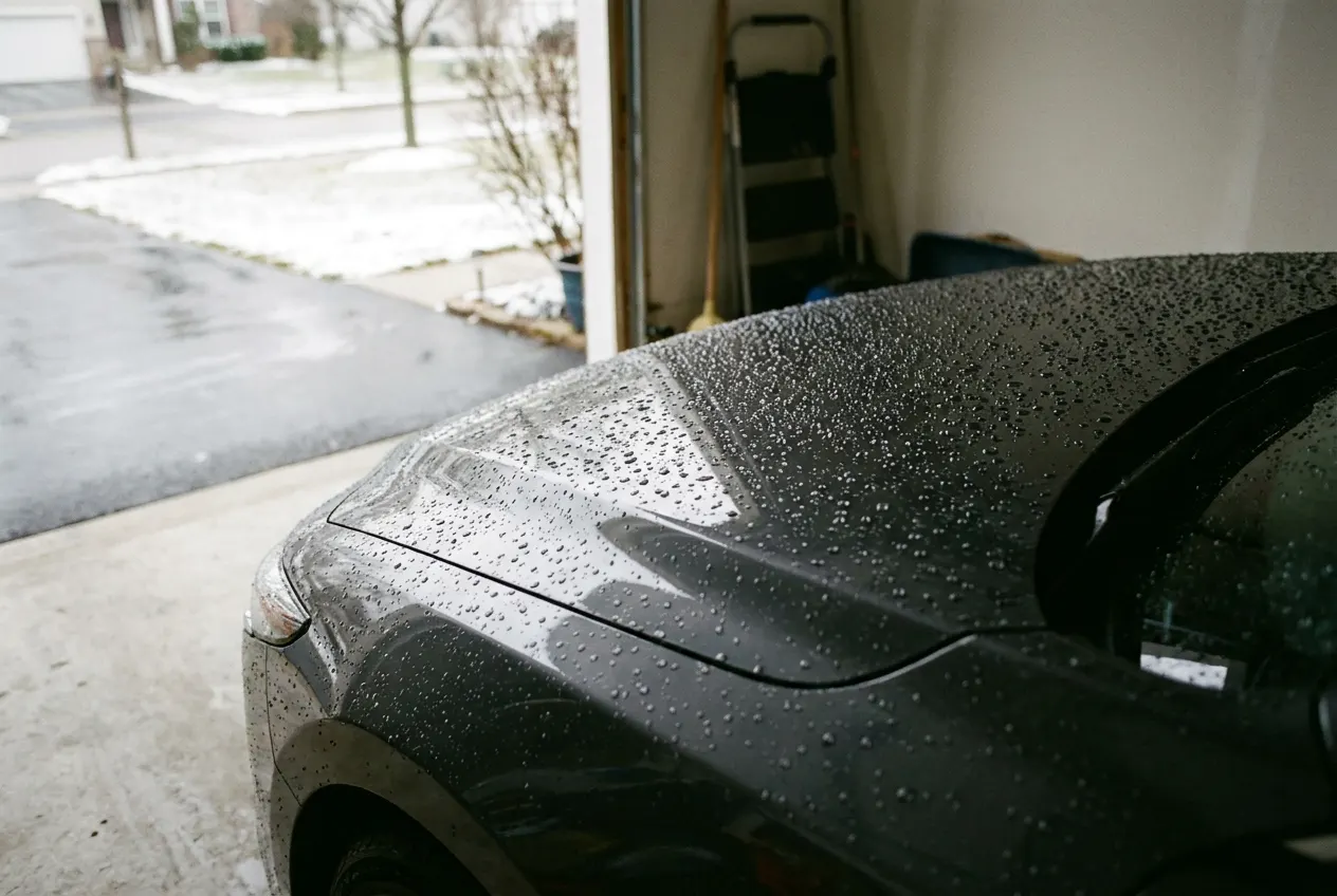 Water beading into tight droplets on a freshly ceramic-coated car hood